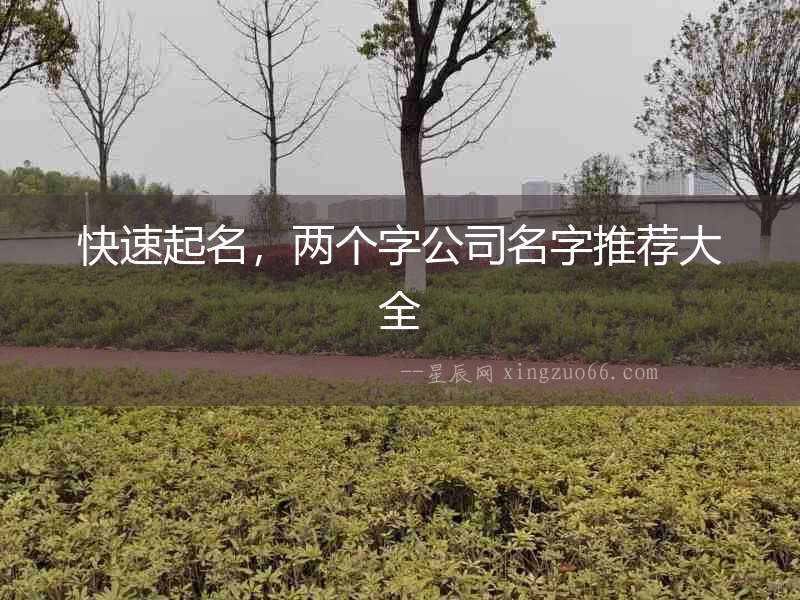 快速起名，兩個字公司名字推薦大全