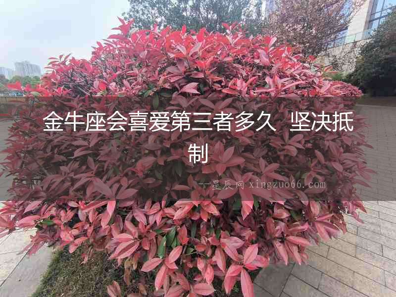 金牛座會(huì)喜愛第三者多久  堅(jiān)決抵制