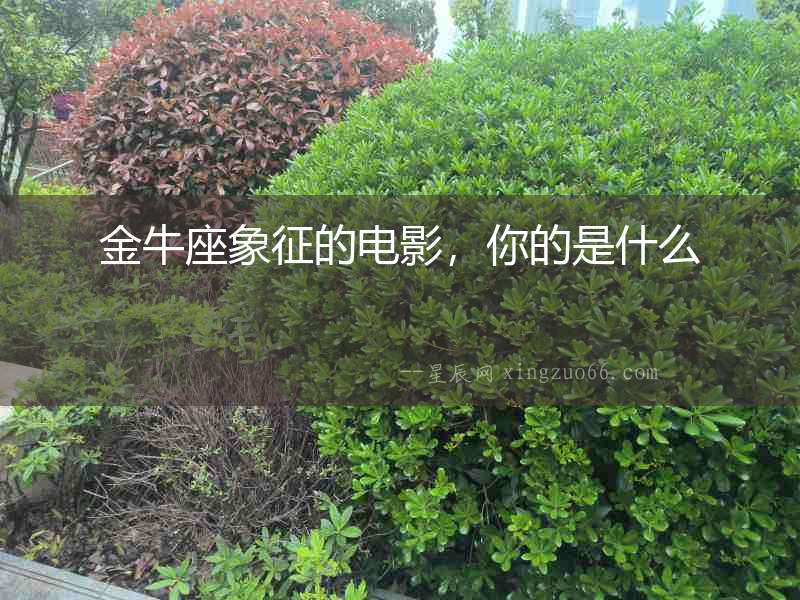 金牛座象征的電影，你的是什么