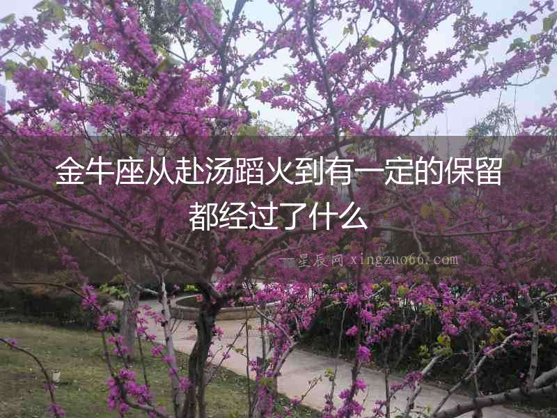 金牛座從赴湯蹈火到有一定的保留都經(jīng)過了什么