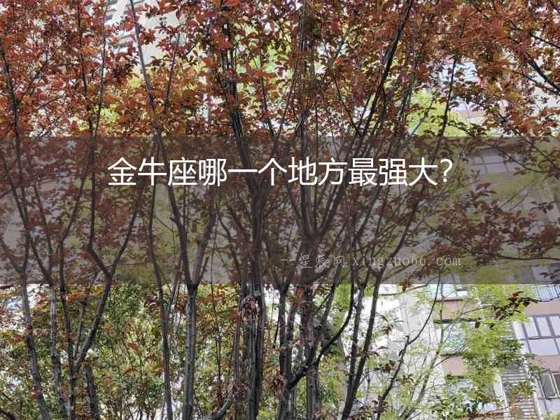 金牛座哪一個地方最強大？