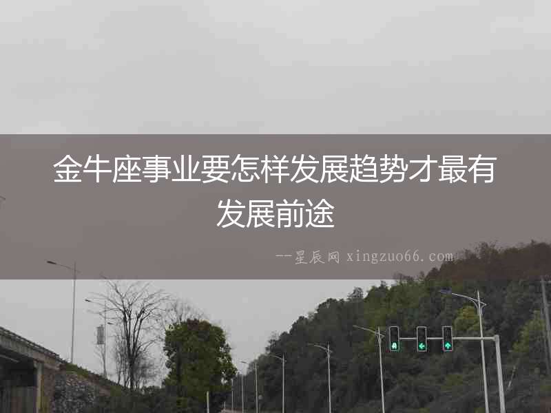 金牛座事業要怎樣發展趨勢才最有發展前途