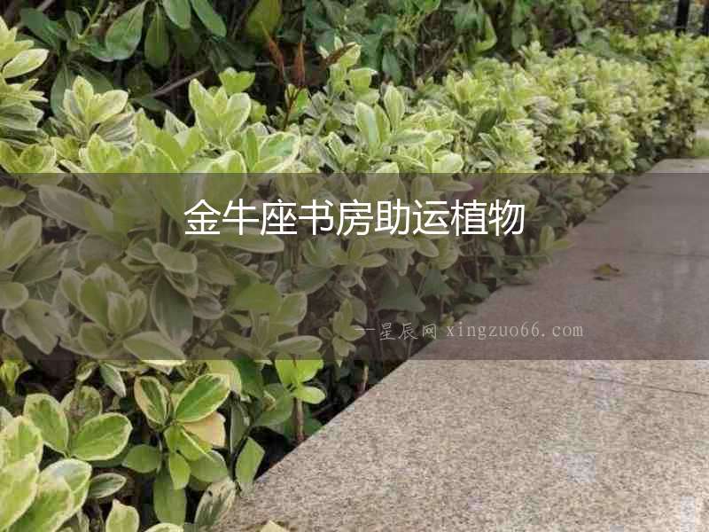 金牛座書房助運植物