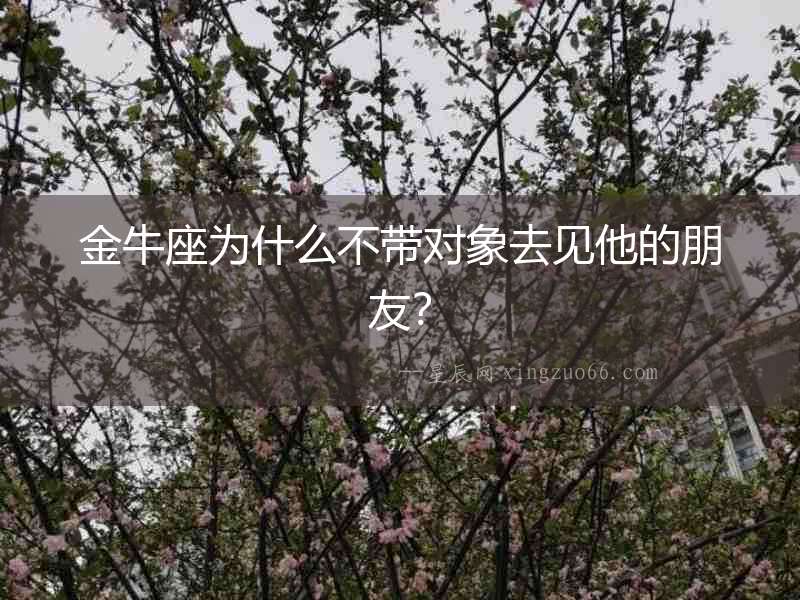 金牛座為什么不帶對(duì)象去見(jiàn)他的朋友？