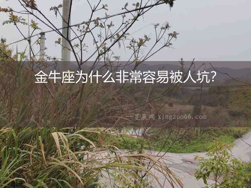 金牛座為什么非常容易被人坑？