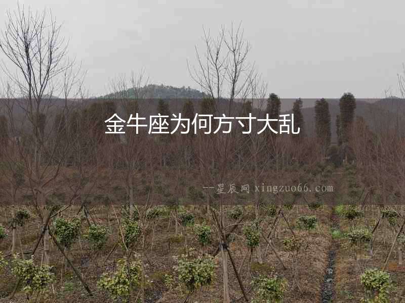 金牛座為何方寸大亂