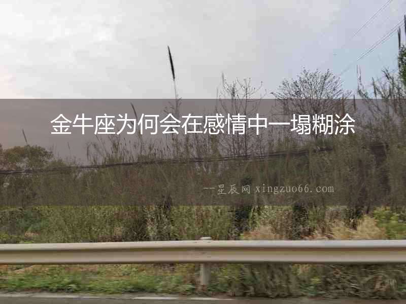 金牛座為何會在感情中一塌糊涂