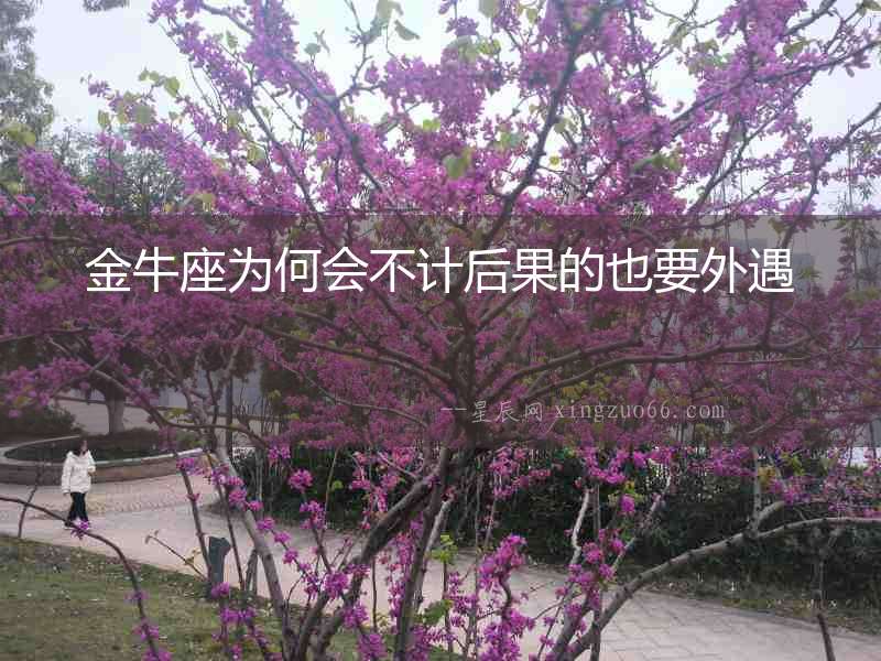金牛座為何會不計后果的也要外遇