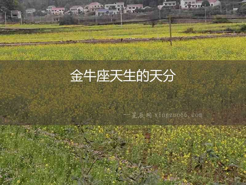 金牛座天生的天分