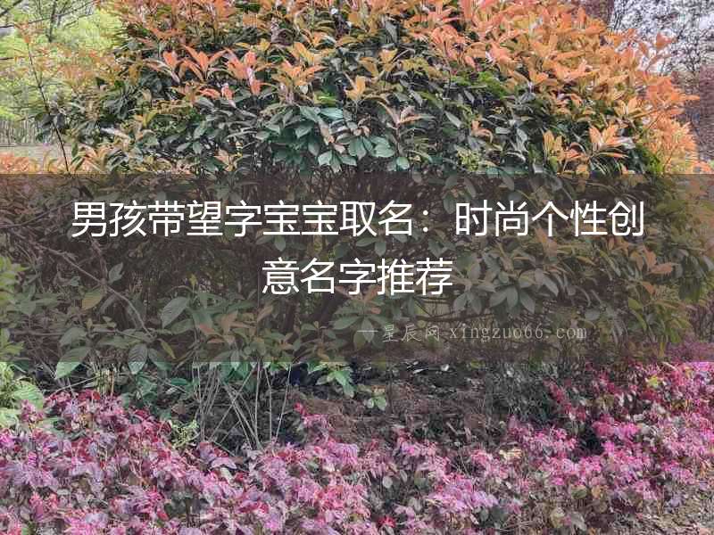 男孩帶望字寶寶取名：時(shí)尚個(gè)性創(chuàng)意名字推薦