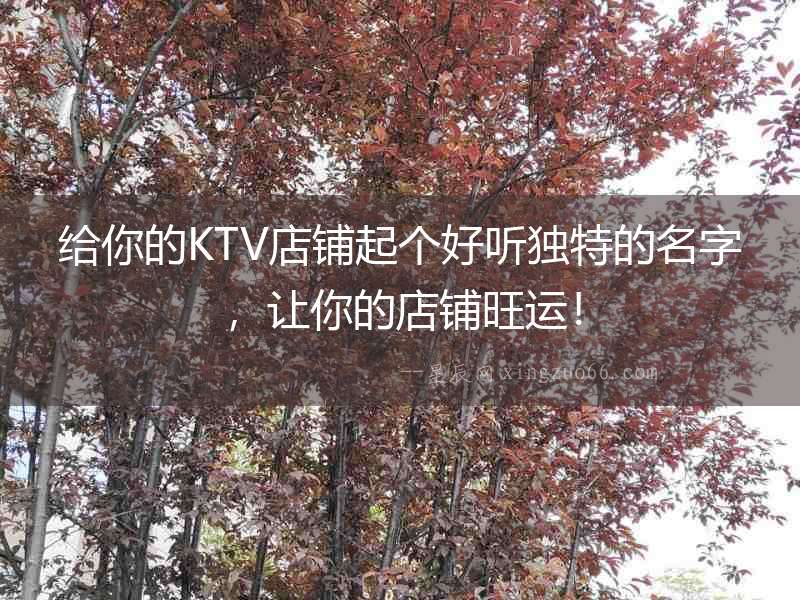 給你的KTV店鋪起個好聽獨特的名字，讓你的店鋪旺運！