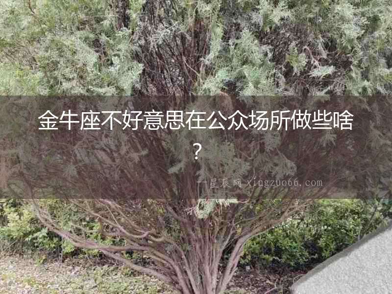 金牛座不好意思在公眾場所做些啥？