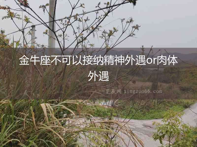 金牛座不可以接納精神外遇or肉體外遇