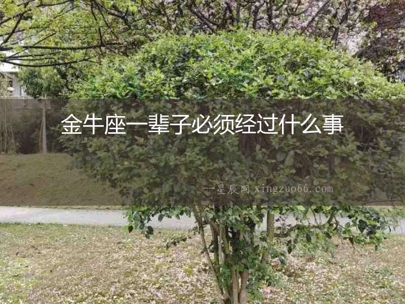 金牛座一輩子必須經(jīng)過什么事