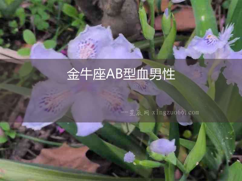金牛座AB型血男性
