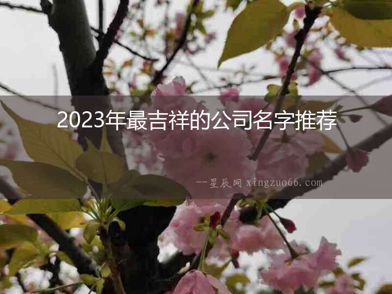 2023年最吉祥的公司名字推薦