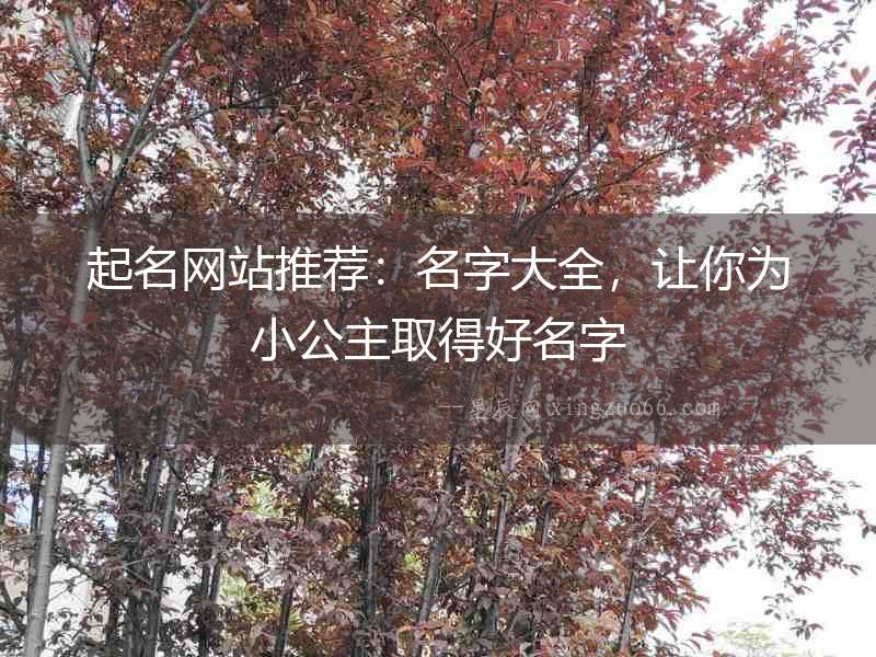 起名網(wǎng)站推薦：名字大全，讓你為小公主取得好名字