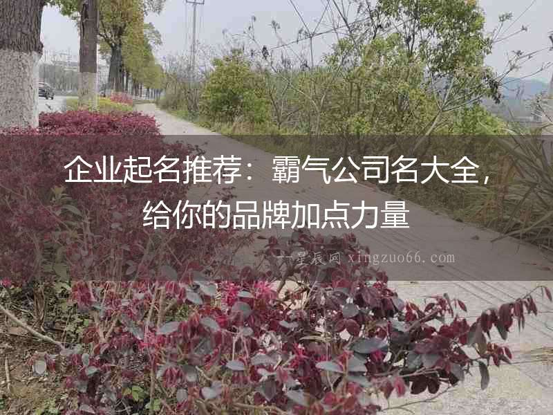 企業(yè)起名推薦：霸氣公司名大全，給你的品牌加點力量