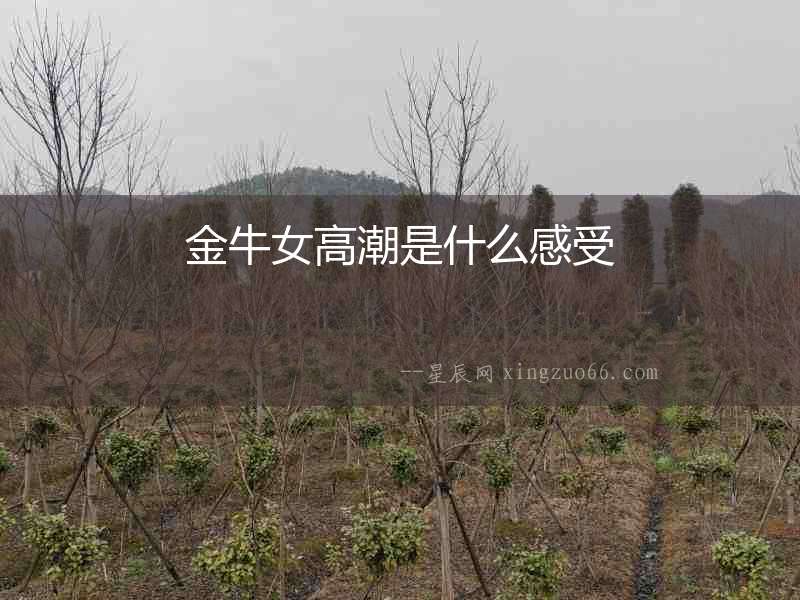 金牛女高潮是什么感受