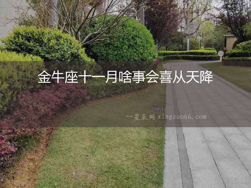 金牛座十一月啥事會喜從天降