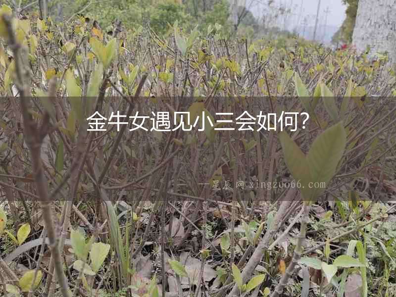 金牛女遇見小三會如何？