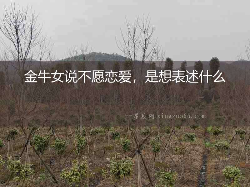 金牛女說不愿戀愛，是想表述什么