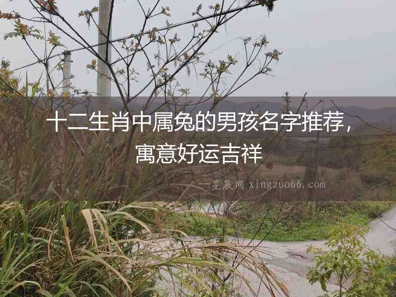 十二生肖中屬兔的男孩名字推薦，寓意好運吉祥