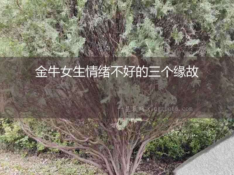 金牛女生情緒不好的三個(gè)緣故