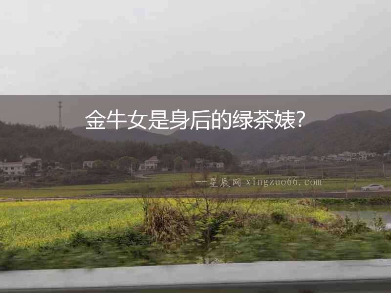 金牛女是身后的綠茶婊？