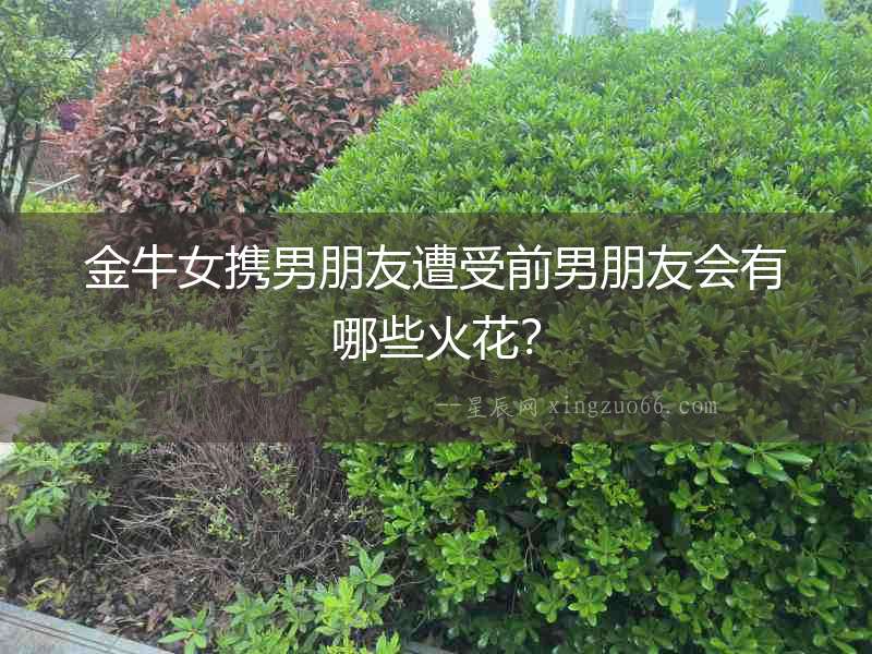 金牛女攜男朋友遭受前男朋友會有哪些火花？