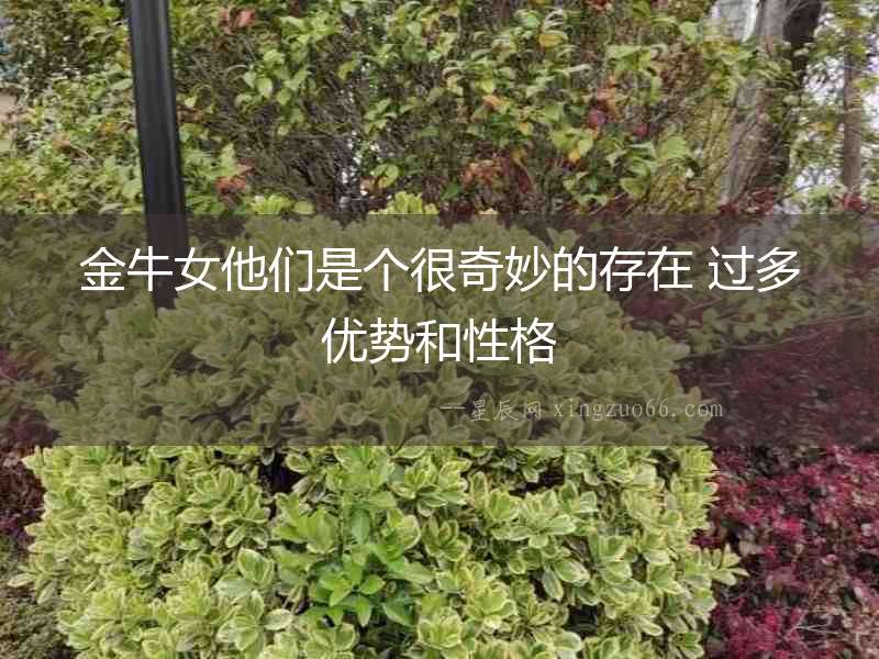 金牛女他們是個(gè)很奇妙的存在 過多優(yōu)勢(shì)和性格