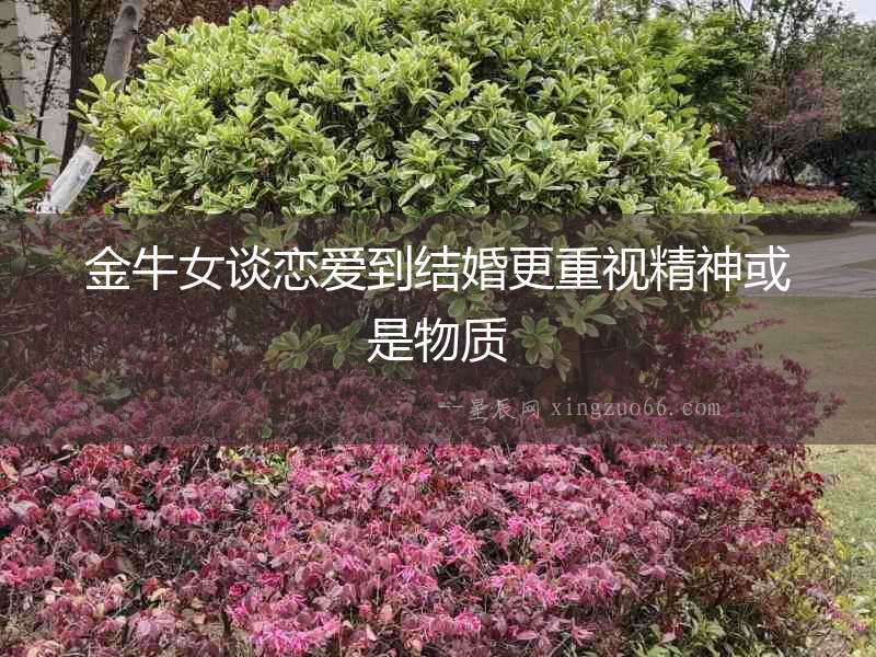 金牛女談戀愛到結(jié)婚更重視精神或是物質(zhì)