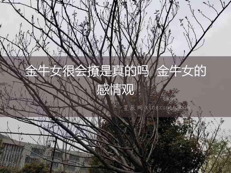 金牛女很會撩是真的嗎  金牛女的感情觀