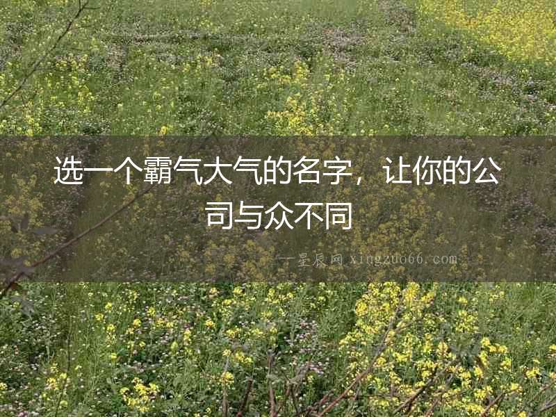 選一個霸氣大氣的名字，讓你的公司與眾不同