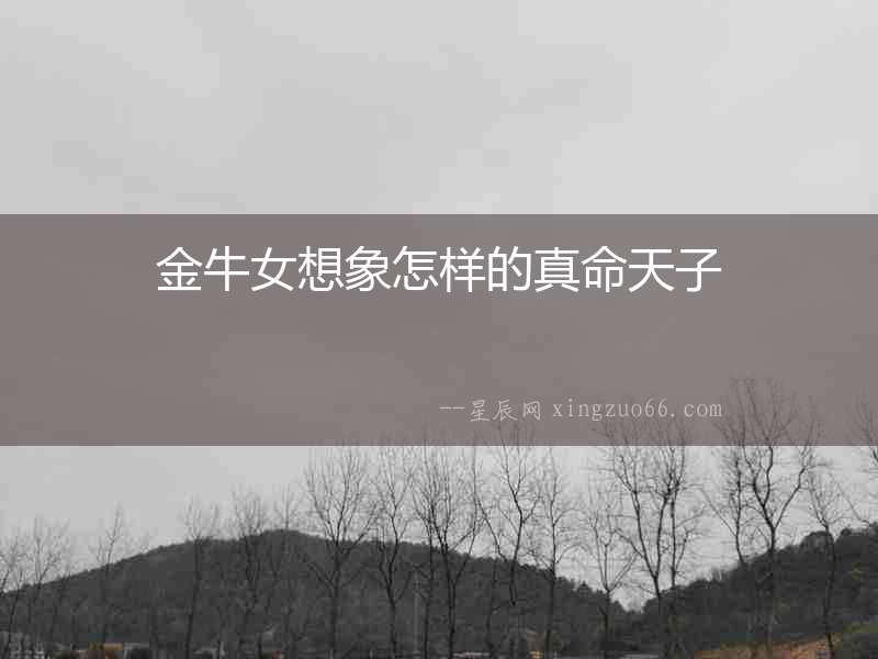 金牛女想象怎樣的真命天子