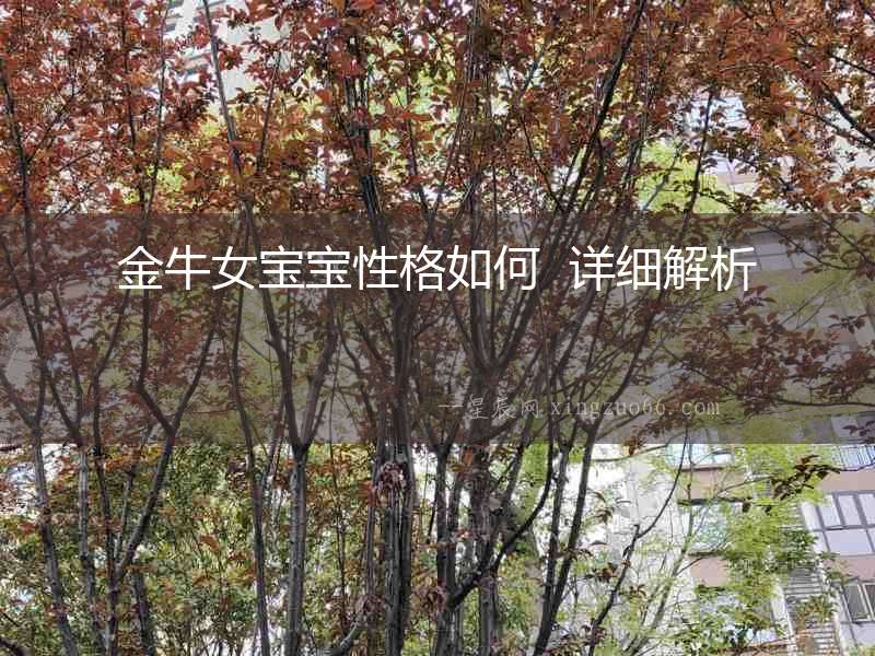 金牛女寶寶性格如何  詳細解析