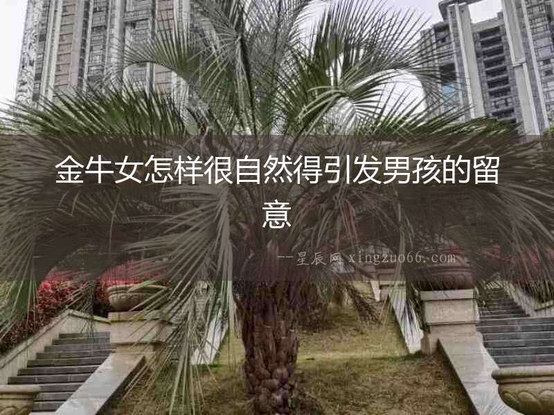 金牛女怎樣很自然得引發(fā)男孩的留意