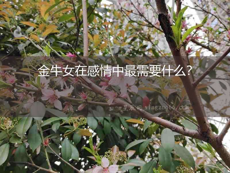 金牛女在感情中最需要什么？