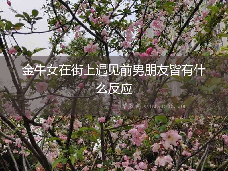 金牛女在街上遇見前男朋友皆有什么反應