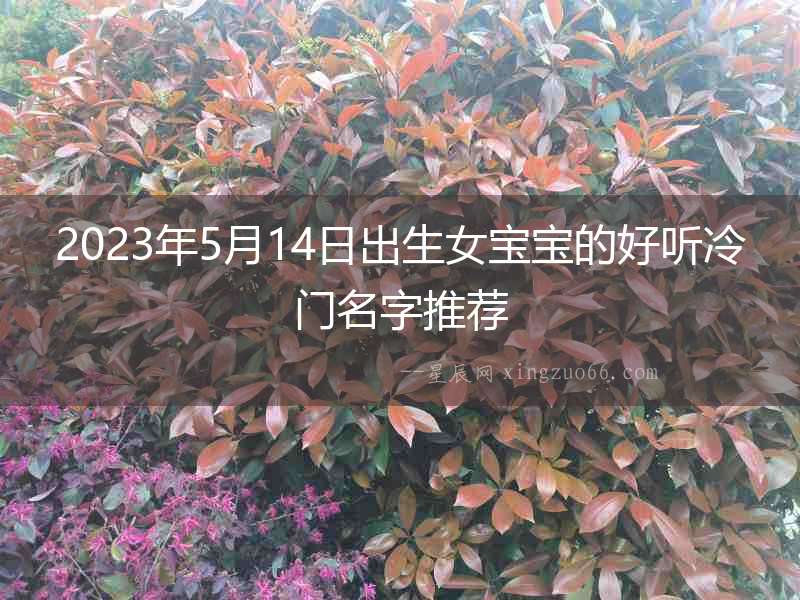 2023年5月14日出生女寶寶的好聽冷門名字推薦