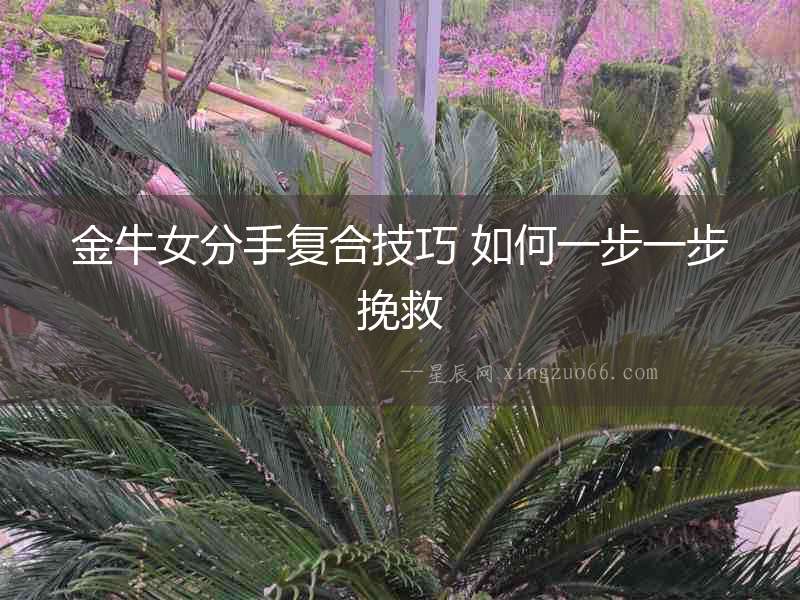 金牛女分手復合技巧 如何一步一步挽救
