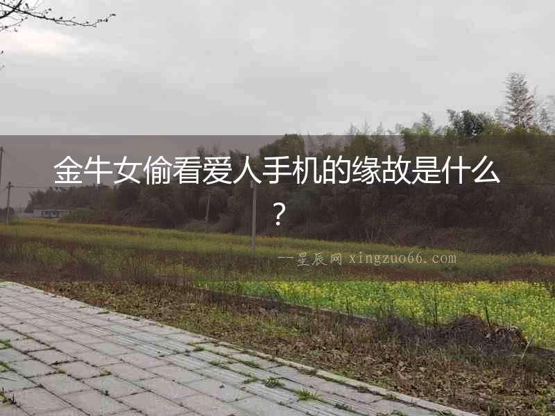 金牛女偷看愛人手機的緣故是什么？