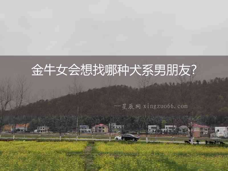 金牛女會想找哪種犬系男朋友？
