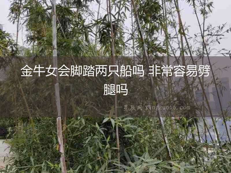 金牛女會腳踏兩只船嗎 非常容易劈腿嗎