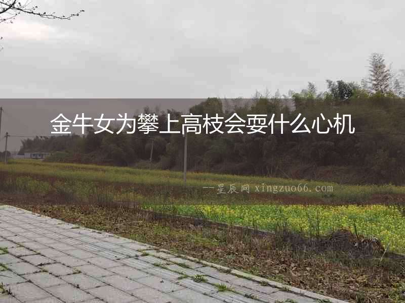 金牛女為攀上高枝會耍什么心機