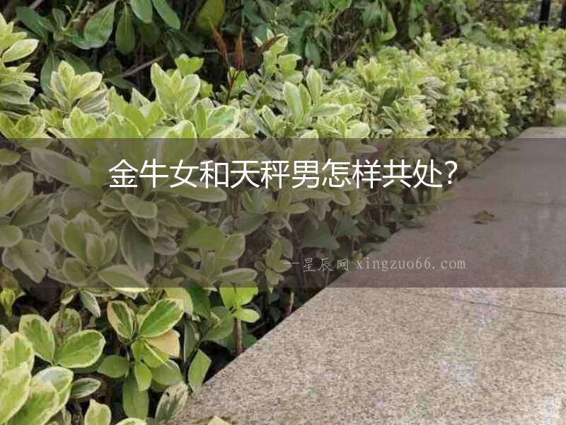 金牛女和天秤男怎樣共處？