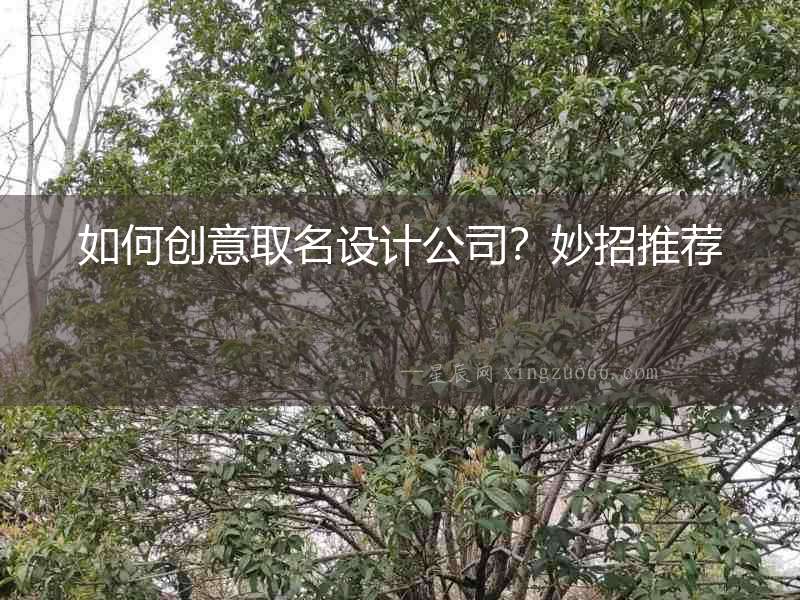 如何創意取名設計公司？妙招推薦