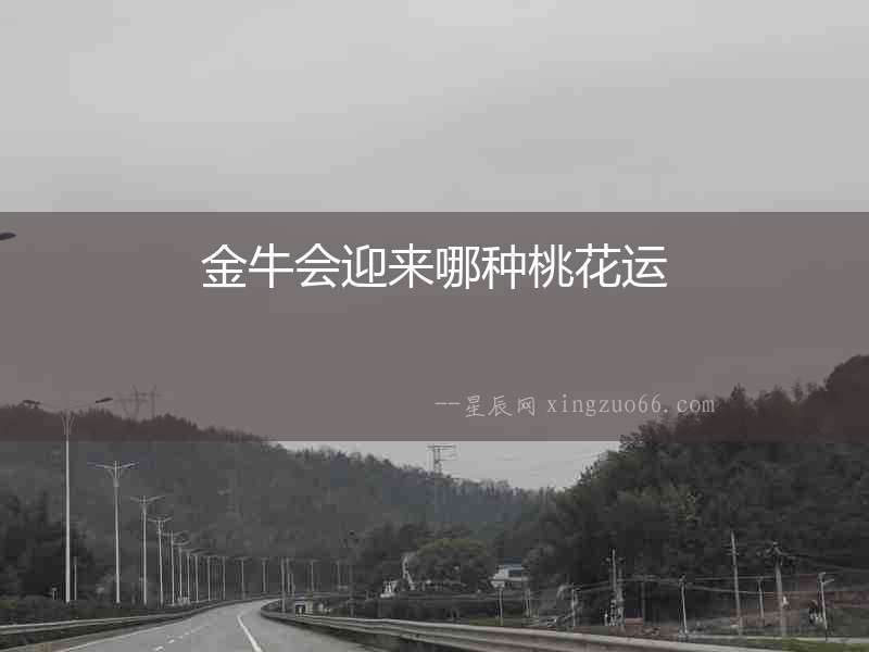 金牛會迎來哪種桃花運
