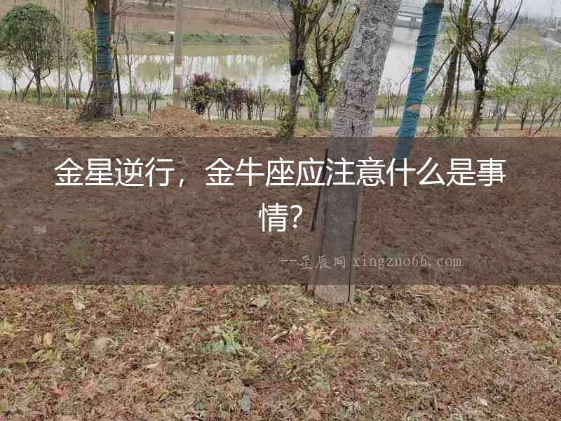 金星逆行，金牛座應注意什么是事情？