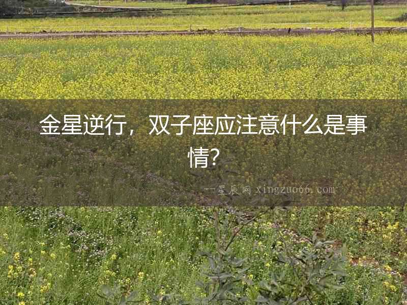 金星逆行，雙子座應注意什么是事情？